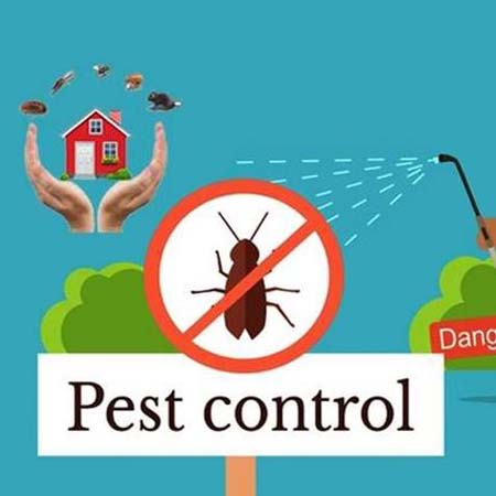Expert Pest Control