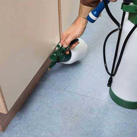 Effective Pest Control For Residential & Commercial