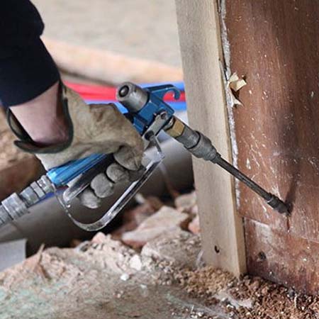 Termite Control